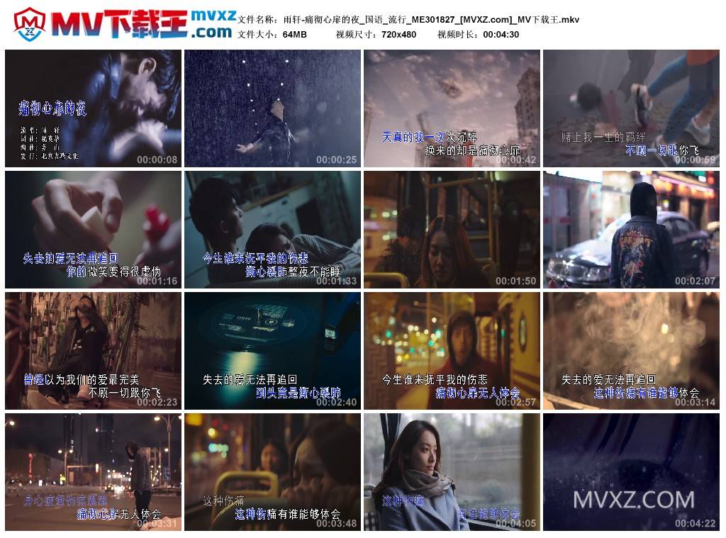 雨轩-痛彻心扉的夜_国语_流行_ME301827